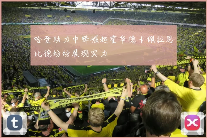 哈登助力中锋崛起霍华德卡佩拉恩比德纷纷展现实力